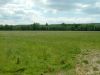 Dv�r Kr�lov� nad Labem - louka