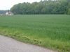 Dv�r Kr�lov� nad Labem - louka pod lesem