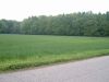 Dv�r Kr�lov� nad Labem - louka